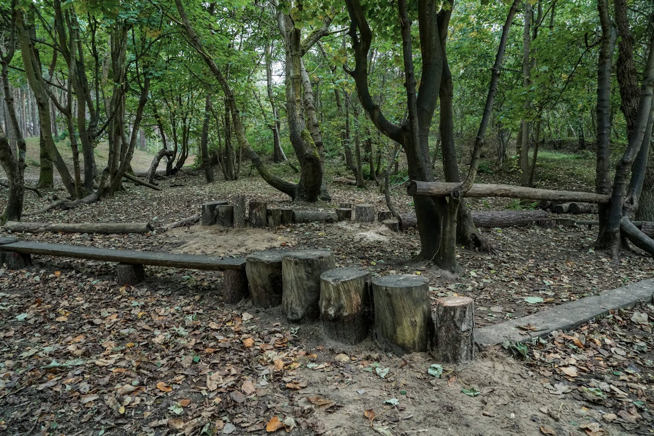 gallery-6 A serene forest scene with rustic wooden benches and stumps for seating.